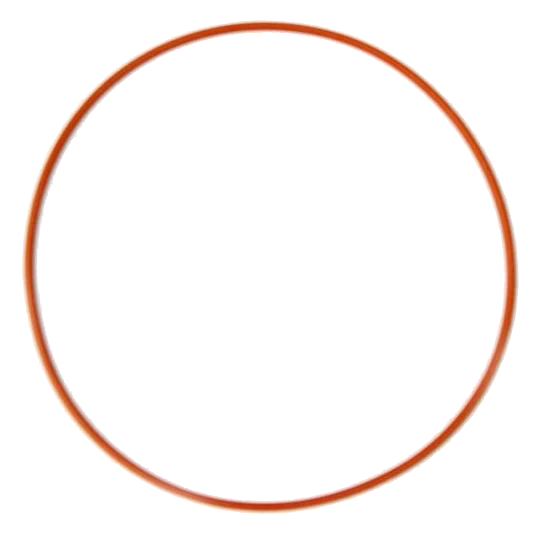 Hellcat Plate O-Ring Nitrous Express NX 16261
