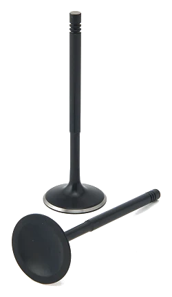 ZRP Std Zestaw Zaworów Dolotowych Zawory Dolotowe Black Nitride do BMW 3.2L S50 S54