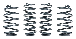 RacingLine Sports Spring Kit for Audi S3 8Y