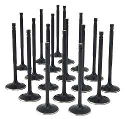 ZRP Std Zestaw Zaworów Dolotowych Zawory Dolotowe Black Nitride do Audi VW Volkswagen 2.7L S4 30V APB Turbo