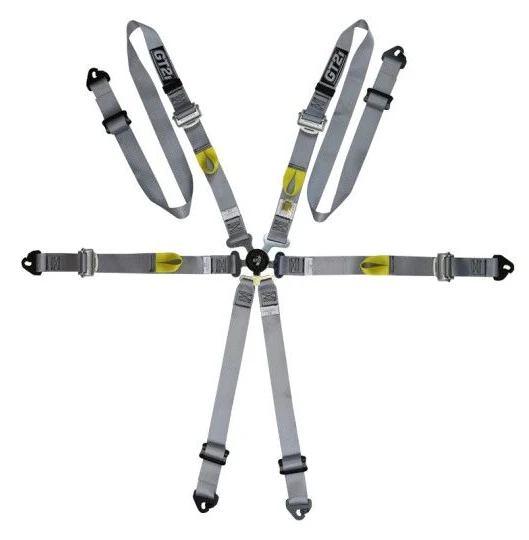 Pasy bezpieczeństwa GT2I Pro V3 FIA Approved 8853-2016 Szare - GT-HAR6HV6L.G.30