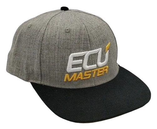 Czapka z logo ECUMASTER szara