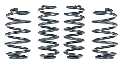 RacingLine Sports Spring Kit for Audi S4 B9 3.0T Saloon