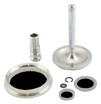Gen-V WG60 Valve & Guide Set