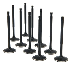 ZRP Std Zestaw Zaworów Dolotowych Zawory Dolotowe Black Nitride do Audi VW Volkswagen 2.5L TFSI TT-RS RS3 EA855