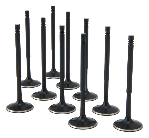 ZRP Std Zestaw Zaworów Dolotowych Zawory Dolotowe Black Nitride do Audi VW Volkswagen 2.5L TFSI TT-RS RS3 EA855
