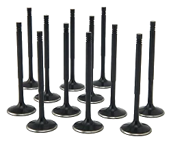 ZRP Std Zestaw Zaworów Dolotowych Zawory Dolotowe Black Nitride do Audi VW Volkswagen 3.0L Turbo RS4 RS5 EA839