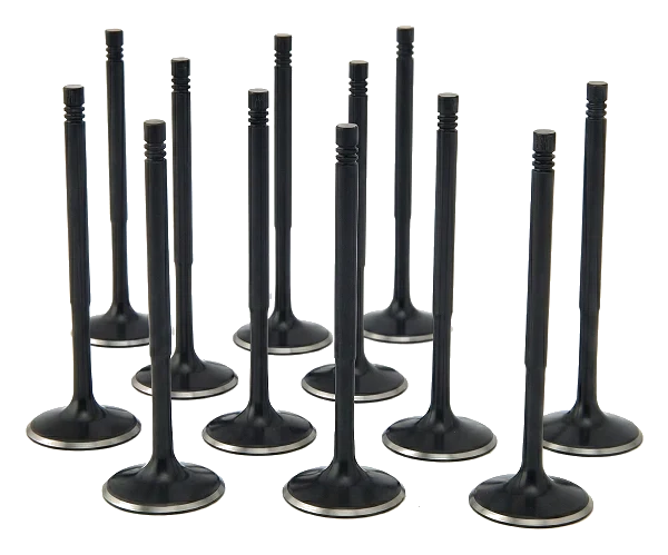ZRP Std Zestaw Zaworów Dolotowych Zawory Dolotowe Black Nitride do Audi VW Volkswagen 3.0L Turbo RS4 RS5 EA839