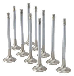 ZRP +1,0mm Zestaw Zaworów Wydechowych Zawory Wydechowe Inconel do Audi VW Volkswagen 2.5L TFSI TT-RS RS3 EA855