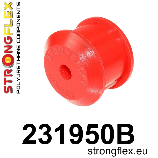 231950B: Tuleja ramy tylnej osi – tylna