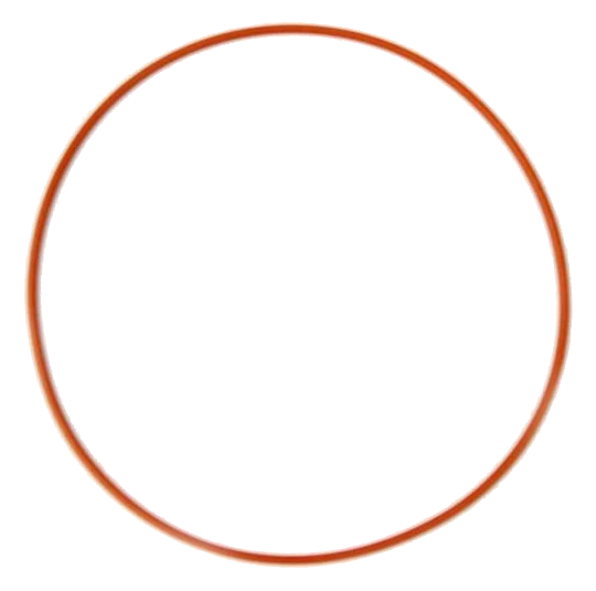 Replacement O-Ring for 4.6L 2V Plate Nitrous Express NX 20210G